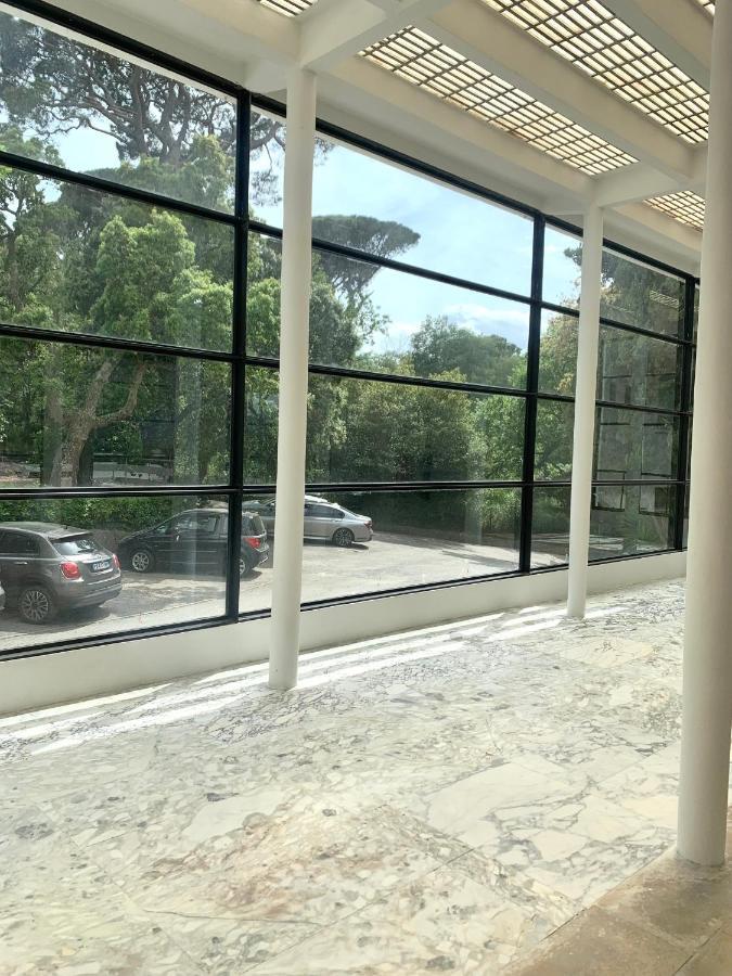 Elegant Studio Et Parking Dans Batiment Historique แซ็ง-ทรอเป ภายนอก รูปภาพ